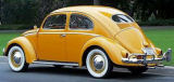 vw beetle