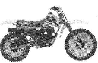 1993 XR100R